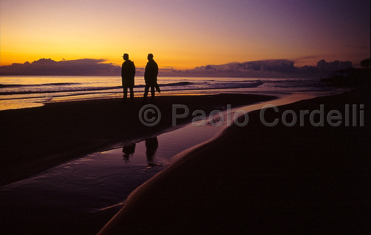 Maremma Natural Park (Uccellina),Tuscany, Italy
 (cod:Tuscany 09)